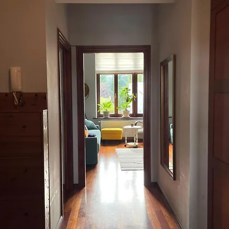 Dodo Acomodo 9 * Kraków