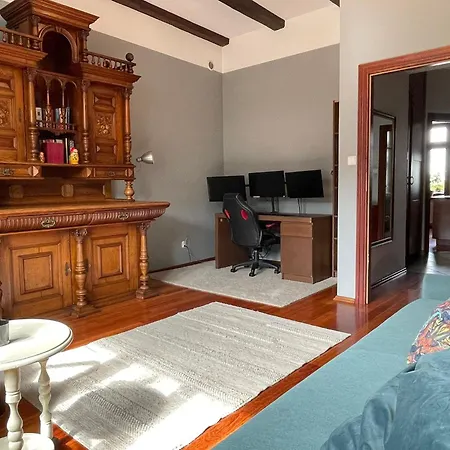 Dodo Acomodo 9 Cracovie