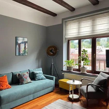 Dodo Acomodo 9 Cracovie