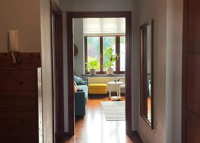 Dodo Acomodo 9 * Kraków